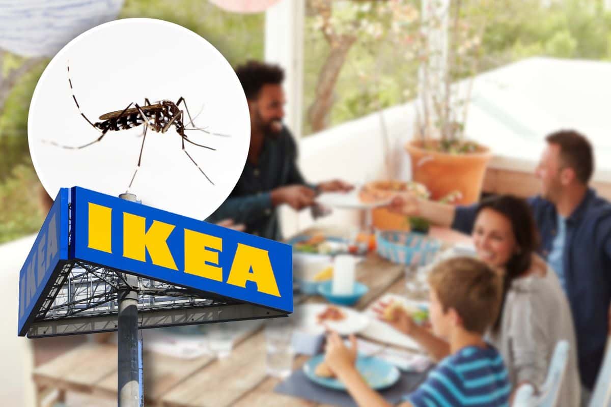 Ecco come risolvere il problema zanzare, ci pensa Ikea