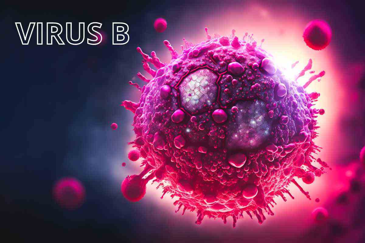 cos'è il virus b delle scimmie