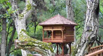 È legale costruire una casa sull’albero? Attenzione a questi casi: la beffa è dietro l’angolo